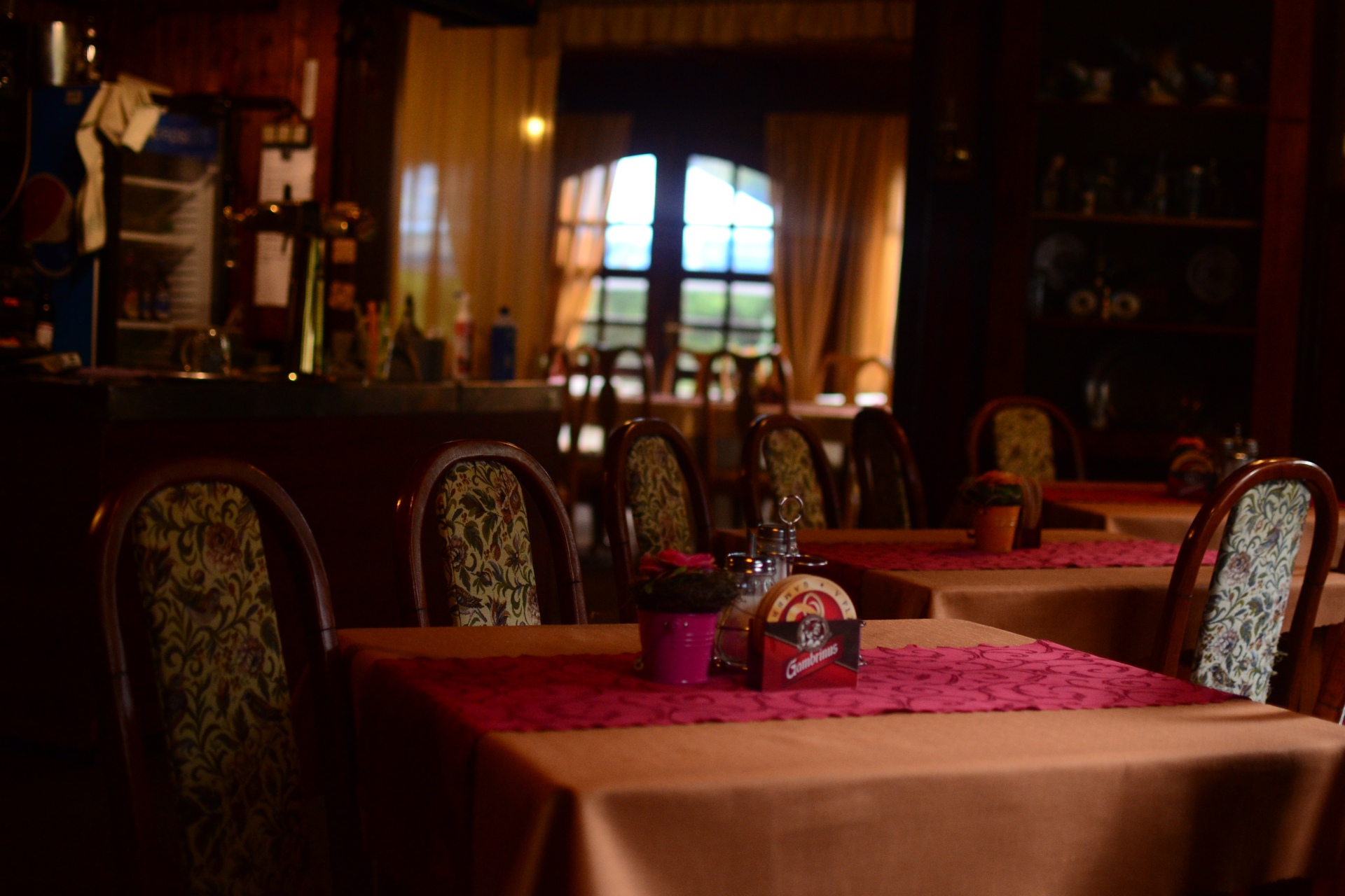 Snídaně je podávána formou švédských stolů, k večeři je výběr ze dvou až tří hotových jídel. V naši restauraci s krbem a letní terasou si můžete vychutnat zvěřinové speciality.